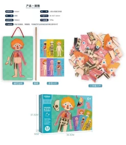 Mideer Body Magnet 90 Pieces 6Years+ -Bedding Baby Store 2020041901