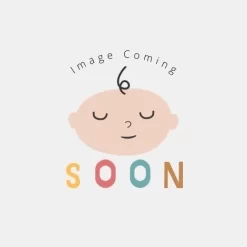 NUNA PIPA Infant Car Seat Indigo