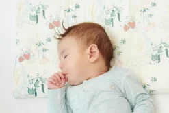 Nest Design Bamboo Toddler Pillow With Pillowcase - Spring Harvest Small 45x30cm -Bedding Baby Store toddler pillow with bamboo pillowcase spring harvest 5