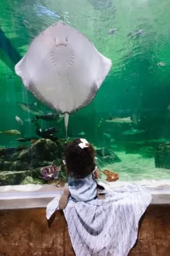 Little Unicorn Cotton Muslin Swaddle Single Ripple -Bedding Baby Store ub0172 little unicorn cotton swaddle ripple ls3 75687892 0327 4091 8996 4b30f08520c2 1024x1024