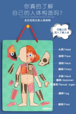 Mideer Body Magnet 90 Pieces 6Years+ -Bedding Baby Store wechat screenshot 20200419172628