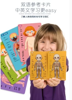 Mideer Body Magnet 90 Pieces 6Years+ -Bedding Baby Store wechat screenshot 20200419172733