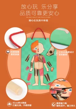 Mideer Body Magnet 90 Pieces 6Years+ -Bedding Baby Store wechat screenshot 20200419172804