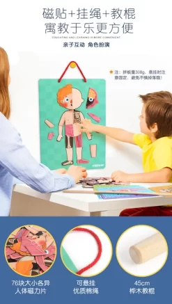 Mideer Body Magnet 90 Pieces 6Years+ -Bedding Baby Store wechat screenshot 20200419172821